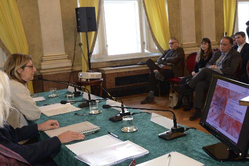 Maria Sandra Telesca (Assessore regionale Salute, Integrazione socio-sanitaria, Politiche sociali e Famiglia) durante il workshop sulla qualità delle cure del diabete in regione - Trieste 14/11/2017